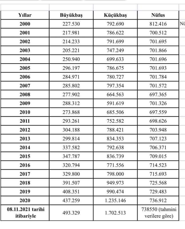Büyükbaş ve küçükbaş Hayvan Sayısı % 100 Arttı 1 FB IMG 1636557442297