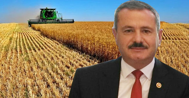murat orhan