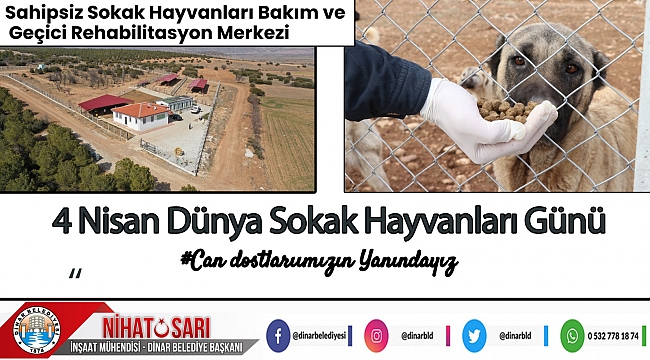 BAŞKAN SARI’DAN DÜNYA SOKAK HAYVANLARI GÜNÜ MESAJI 