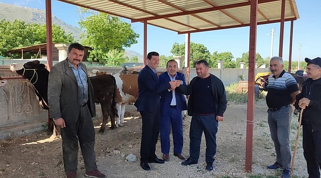 Tatarlı’da Kurban Bayramı’nın yaklaşmasıyla hayvan pazarı kuruldu