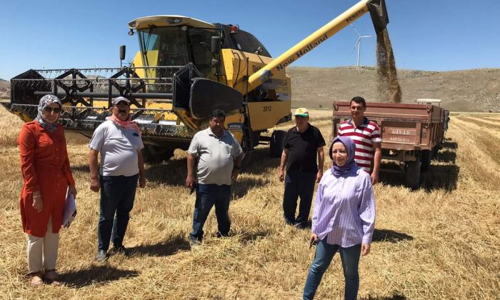 ÇİFTÇİLER DANE KAYIPLARINA DİKKAT ETMELİ