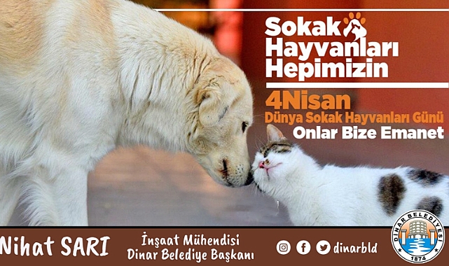 Belediye Başkanımız Nihat Sarı’dan Sokak Hayvanları Günü Mesajı 