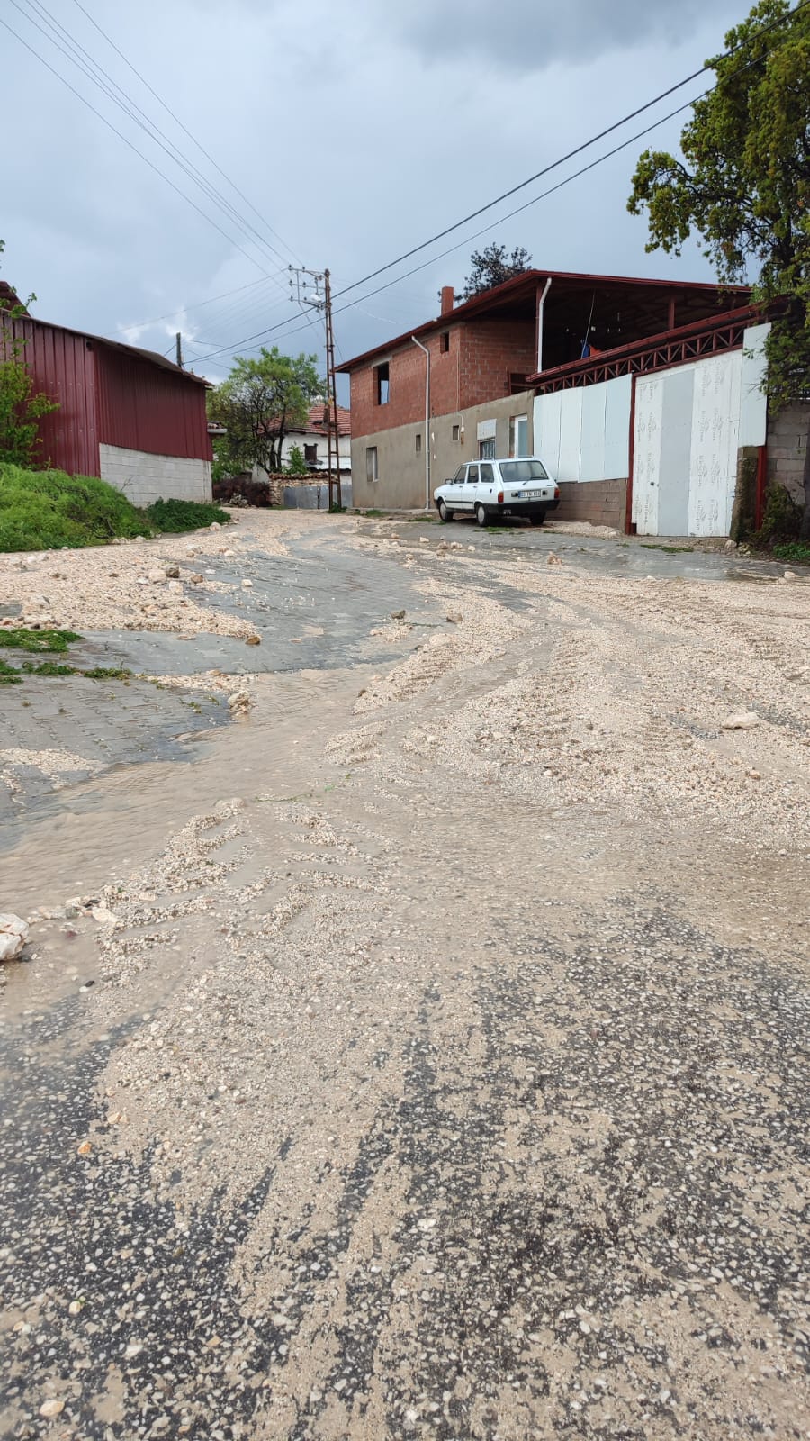 8391ef9a e221 477b ab1b 7f62138e706d 1