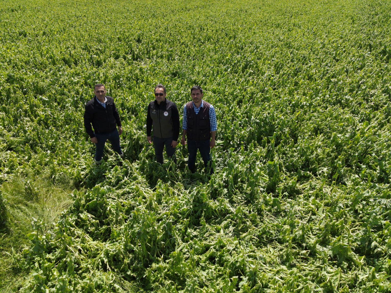 GEÇMİŞ OLSUN ÇÖLOVASI… 2 Colovasi 1