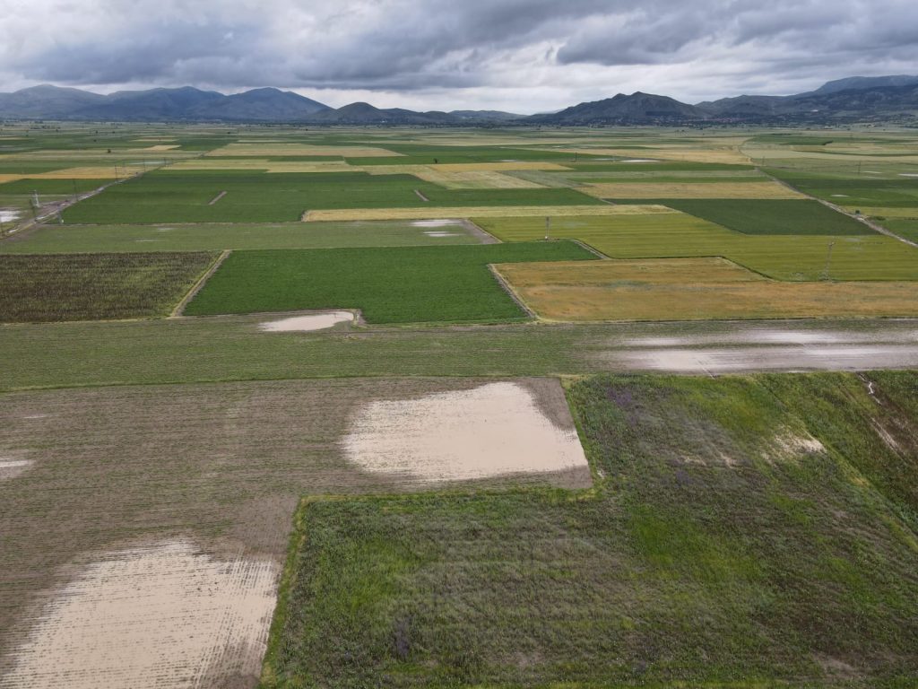 GEÇMİŞ OLSUN ÇÖLOVASI… 3 Colovasi 2