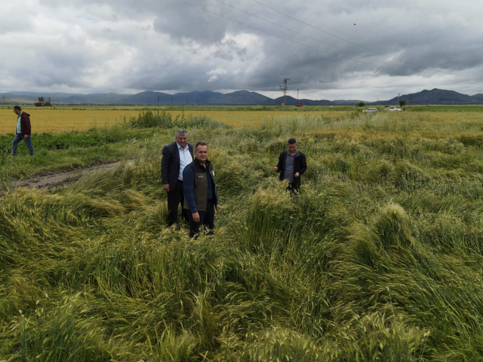 GEÇMİŞ OLSUN ÇÖLOVASI… 4 Colovasi 3