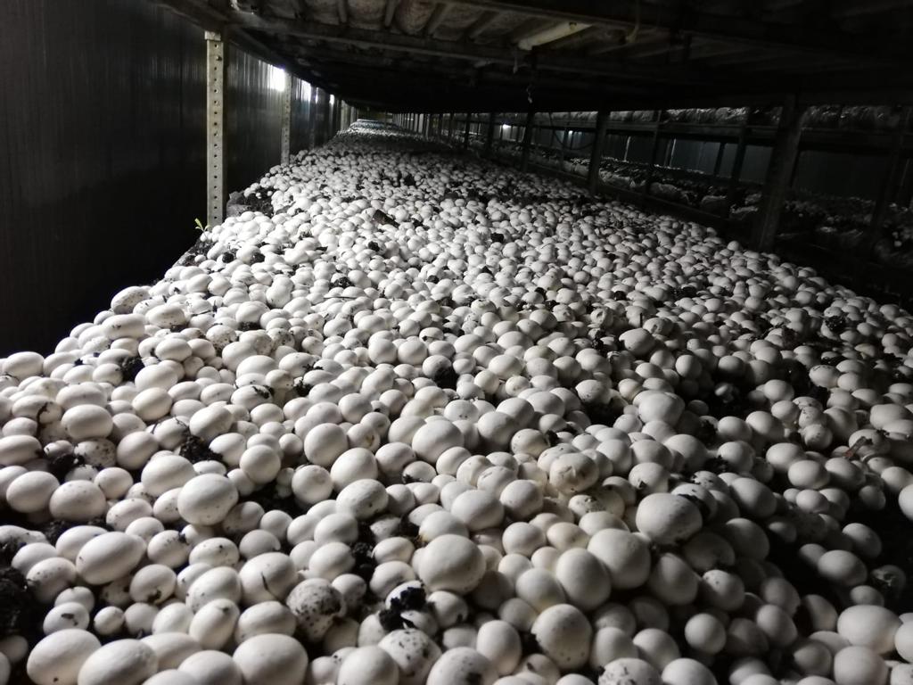 DAZKIRI VE BAŞMAKÇI İLÇELERİNDE ANLAMLI ZİYARETLER GERÇEKLEŞTİRDİK 6 14739319581692023534