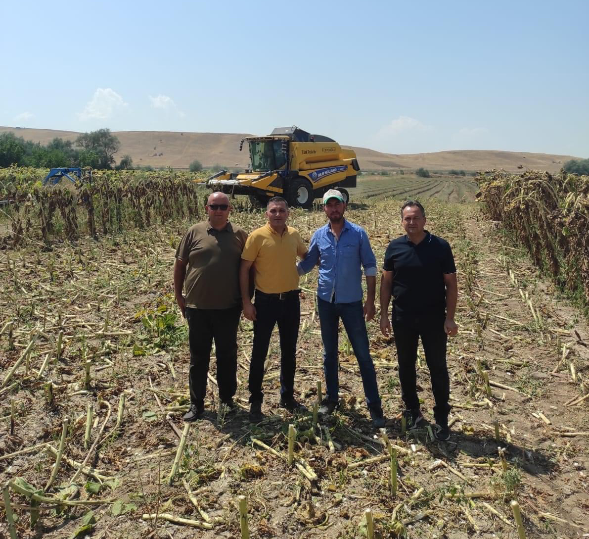 AYÇİÇEĞİ HASADI BAŞLADI