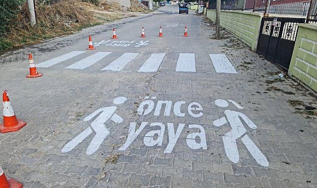 Yaya Geçitleri İl Özel İdaresince yenilendi