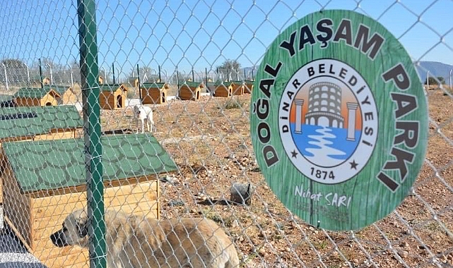 Ak Parti Dinar İlçe Başkanı Av. İbrahim Özgül’den Barınakla ilgili Açıklama