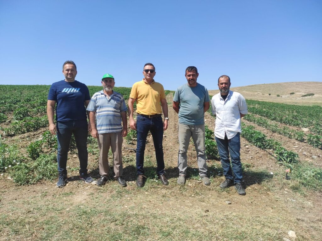 ALTERNATİF ÜRÜN TARLA BİBER VE DOMATESİ 1 450549516 1244682906700994 7868341665670678385 n 1024x766 1