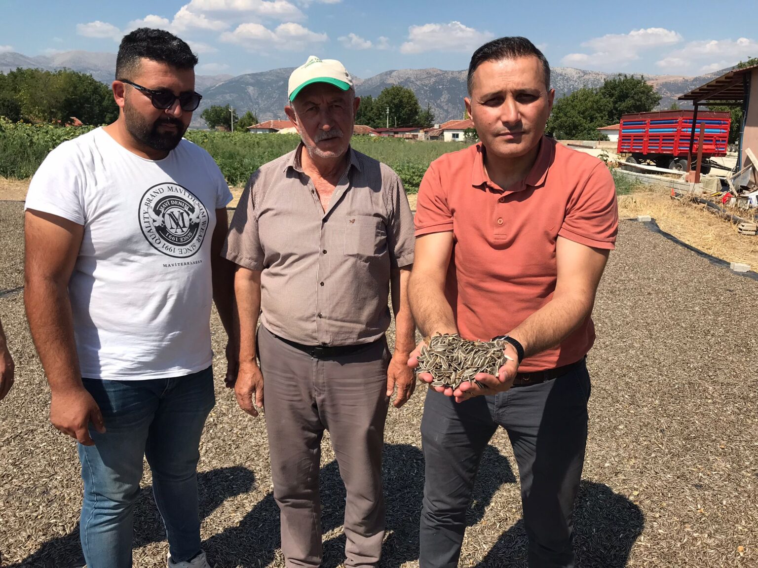 AYÇİÇEĞİ HASADI BAŞLADI…