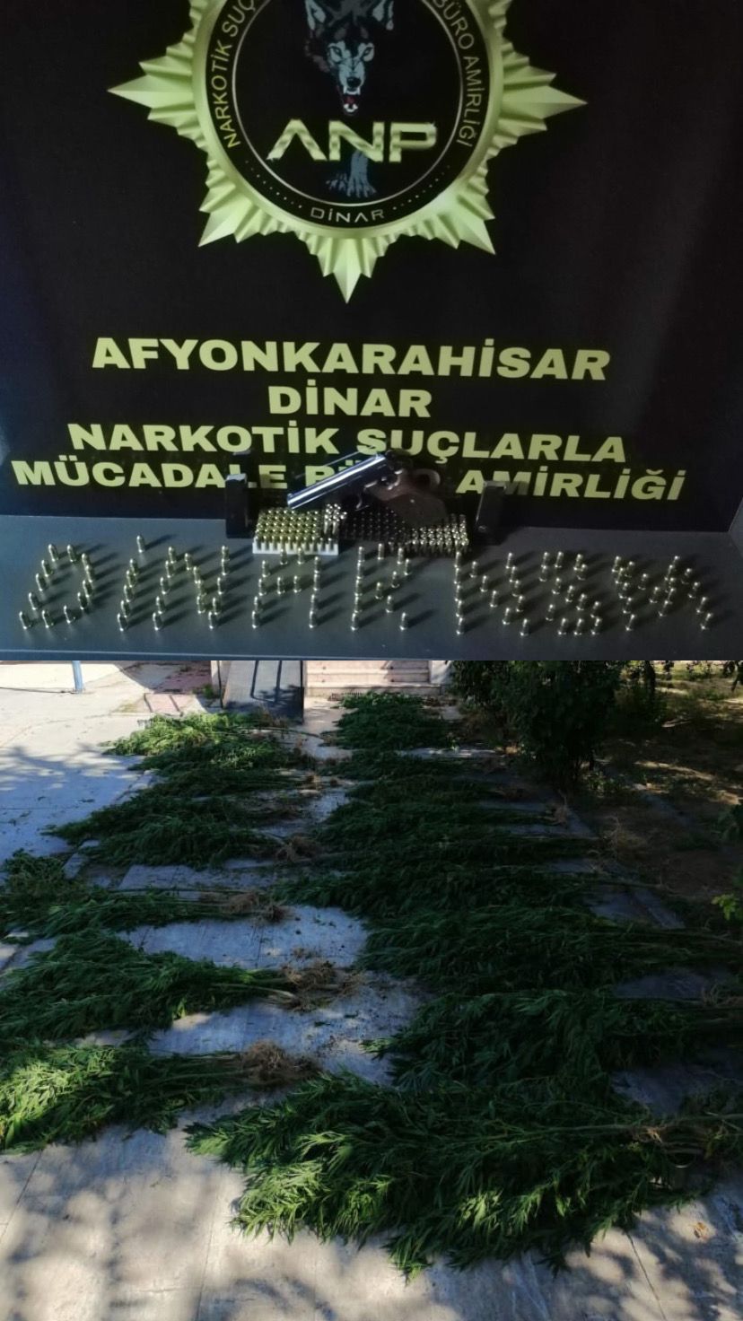 IMG 20240815 WA0050