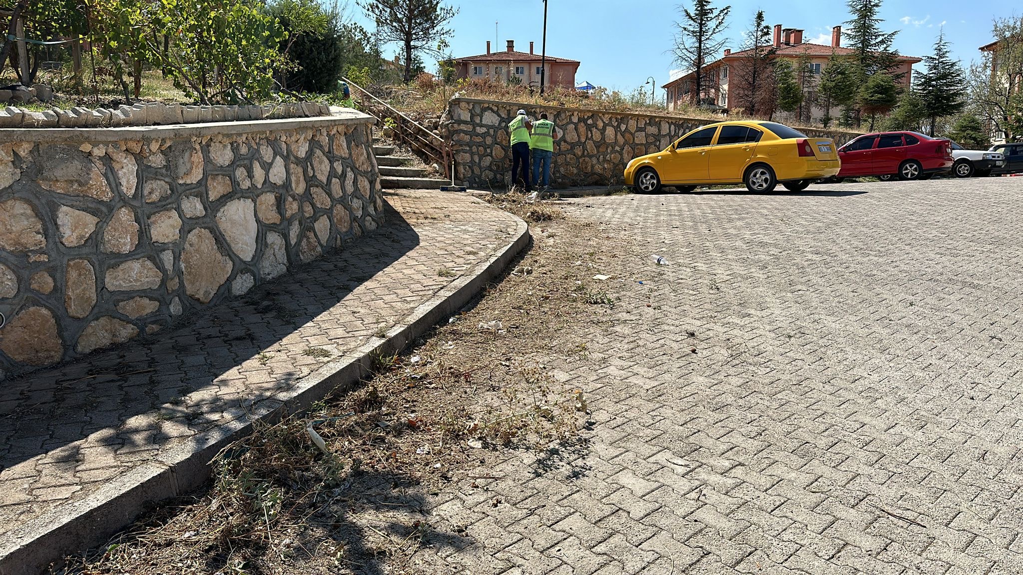 “TEMİZLİK ÇALIŞMALARI HIZ KESMİYOR” 2 10813261561725966829