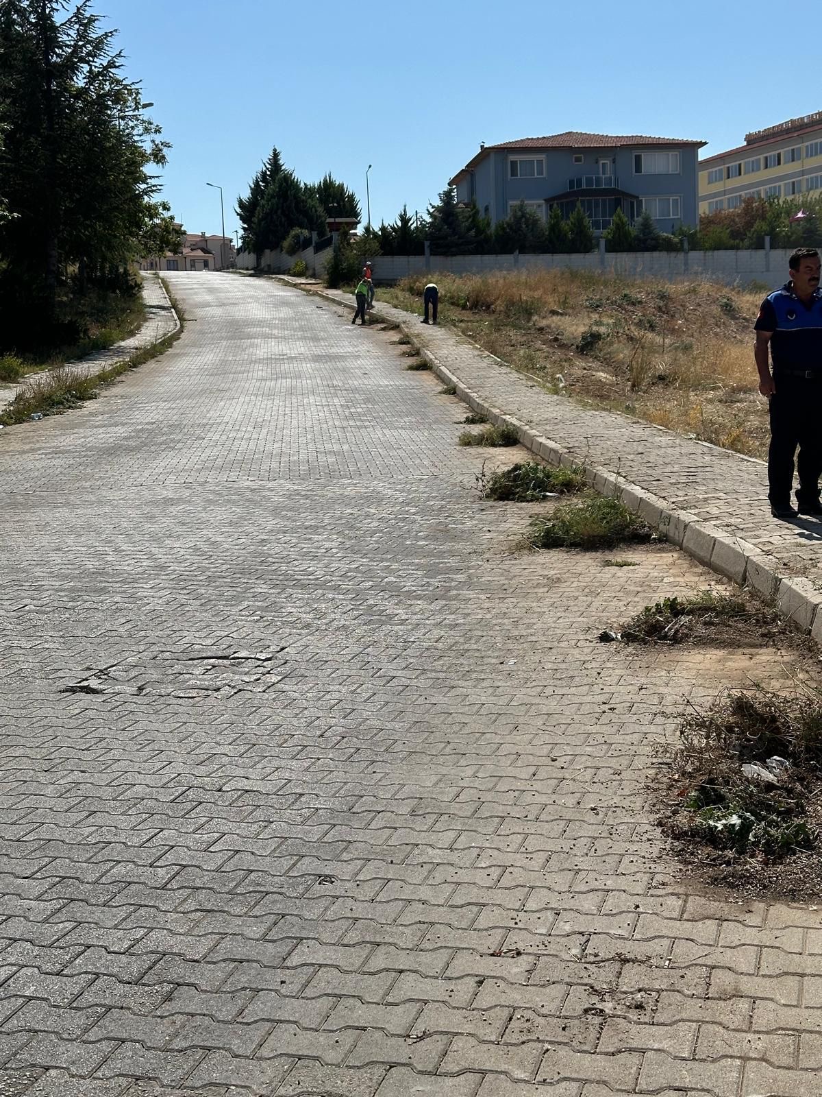 “TEMİZLİK ÇALIŞMALARI HIZ KESMİYOR” 3 21165640471725966831