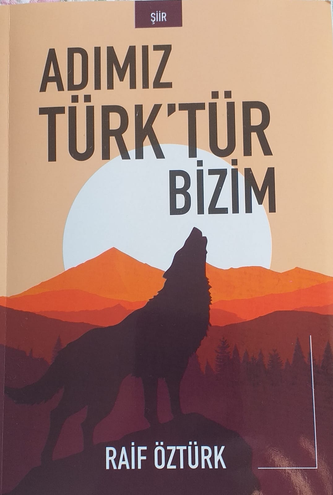 DİNAR KÜLTÜRÜNE ÜÇ YENİ ESER DAHA 4 7964ebd3 3191 418c bc69 3e8c7eeb5c25