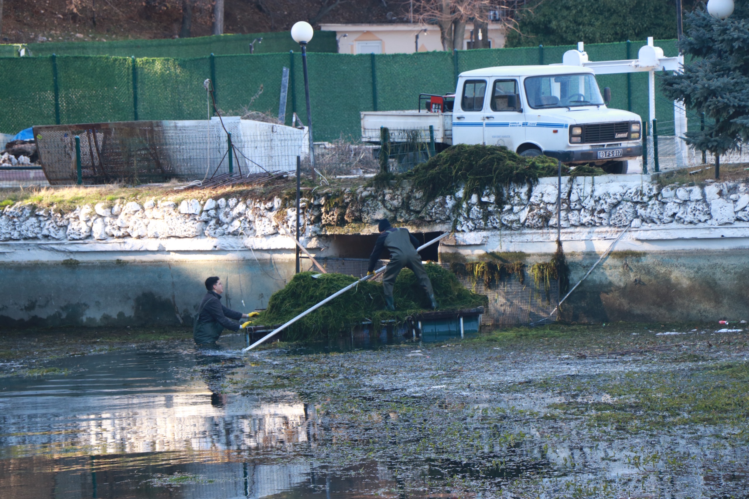 13500814081734516982