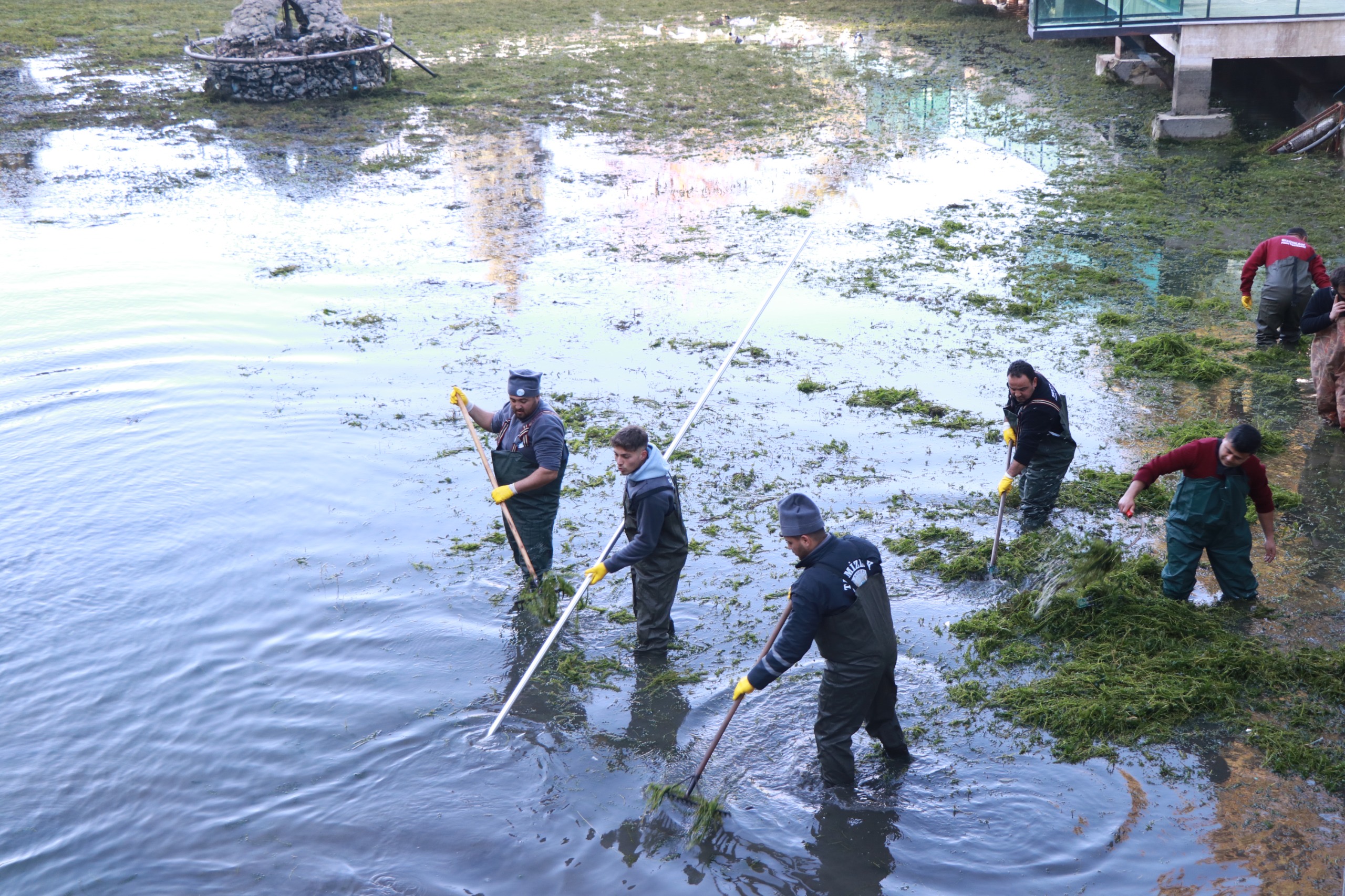 20120400011734516981