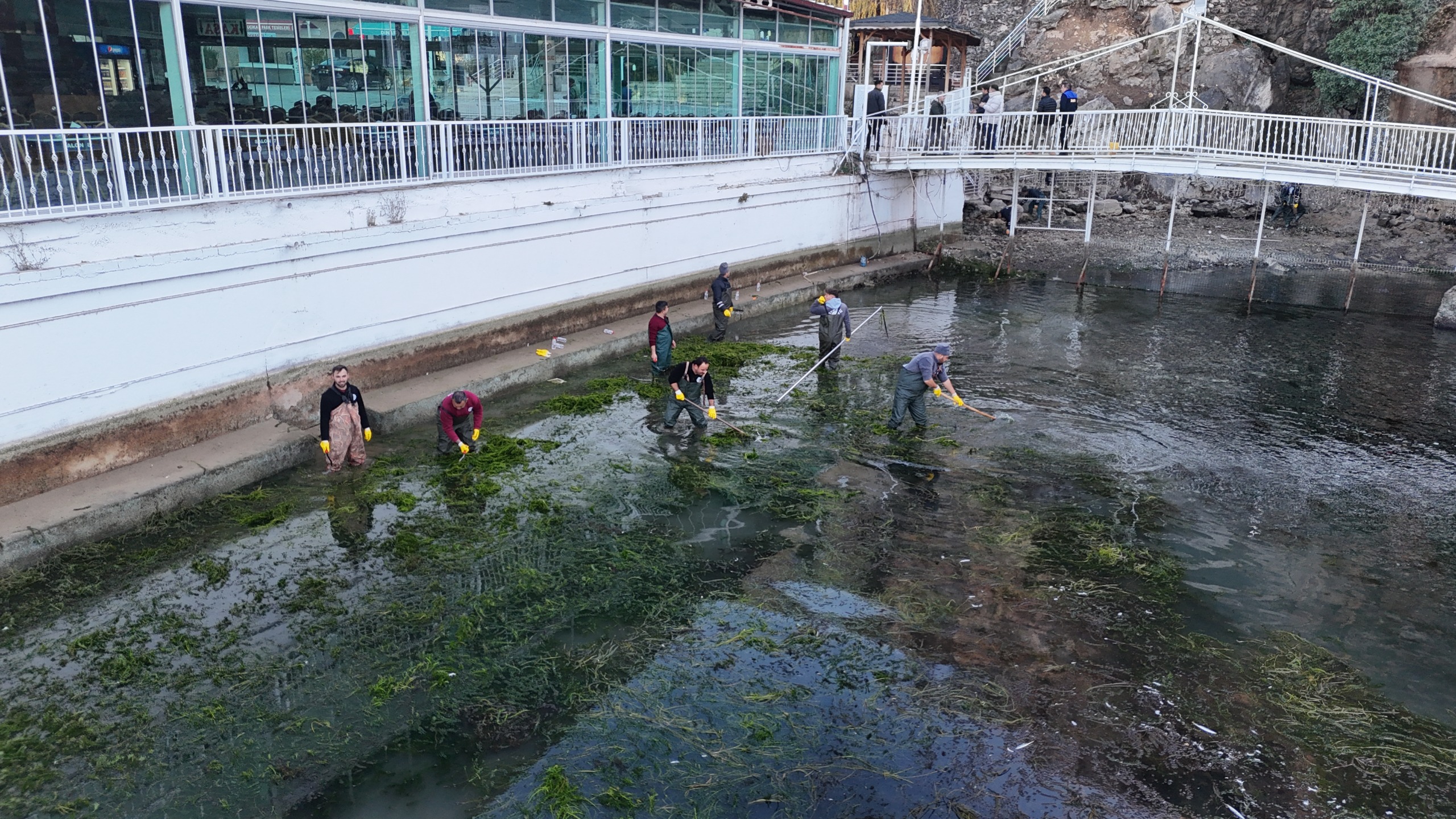 20124406751734516980