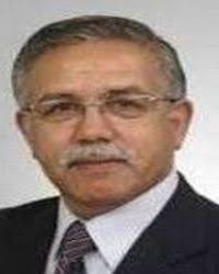 Yazan : Raif Öztürk      AYNUR TOKER TEYZEMİZE